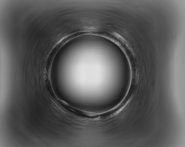 X0000085001449200703121450