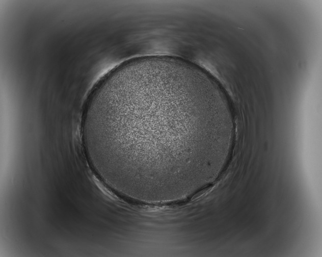 X0000085001452200703121450