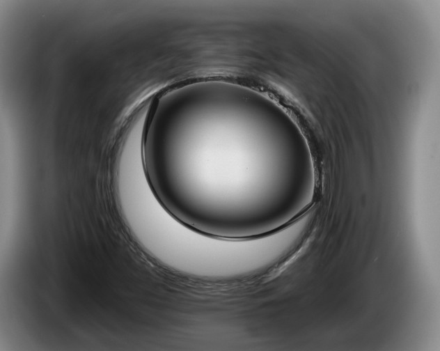 X0000085001453200703121450