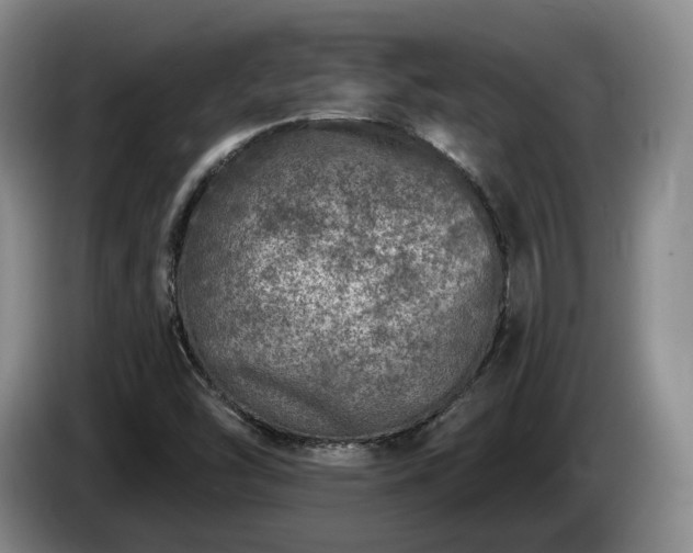 X0000085001454200703121450