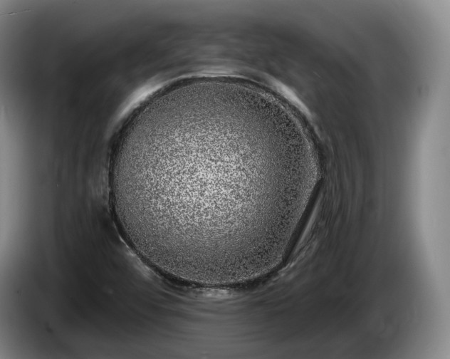 X0000085001456200703121450