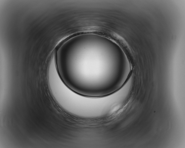 X0000085001457200703121450