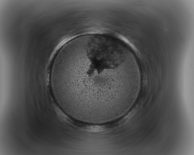 X0000085001459200703121450