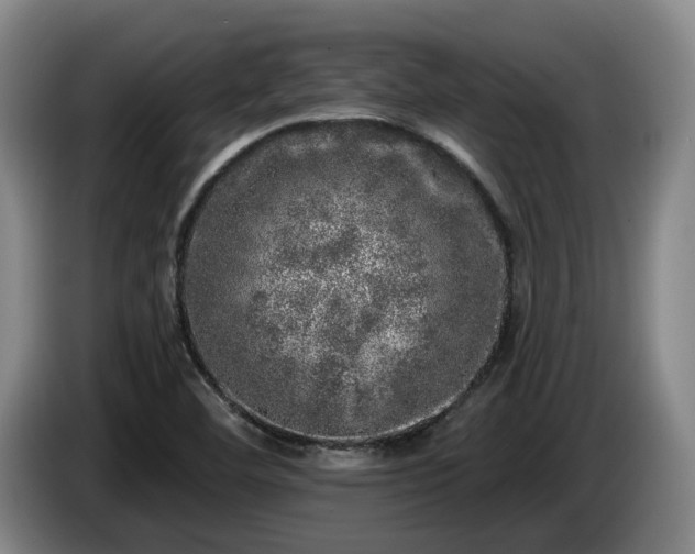 X0000085001460200703121450