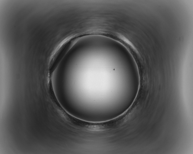 X0000085001461200703121450