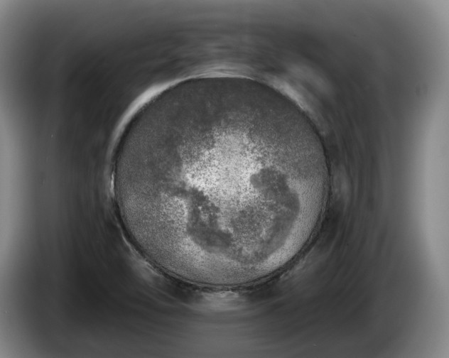 X0000085001462200703121450