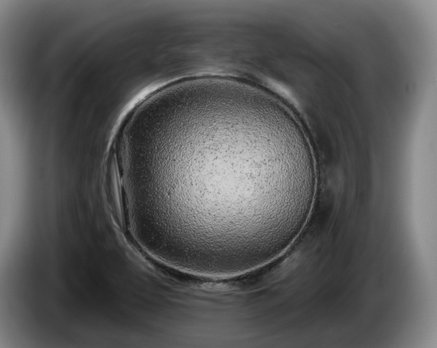 X0000085001463200703121450