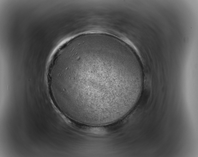 X0000085001464200703121450