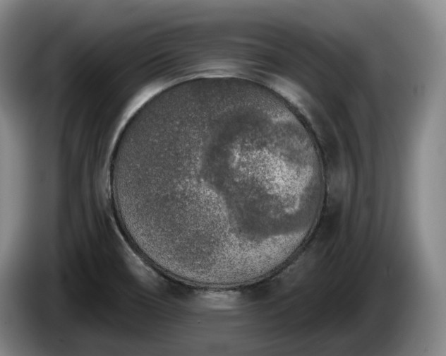 X0000085001466200703121450