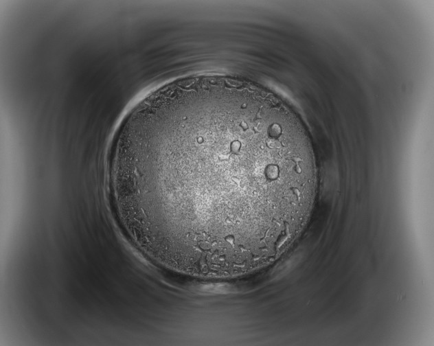 X0000085001467200703121450