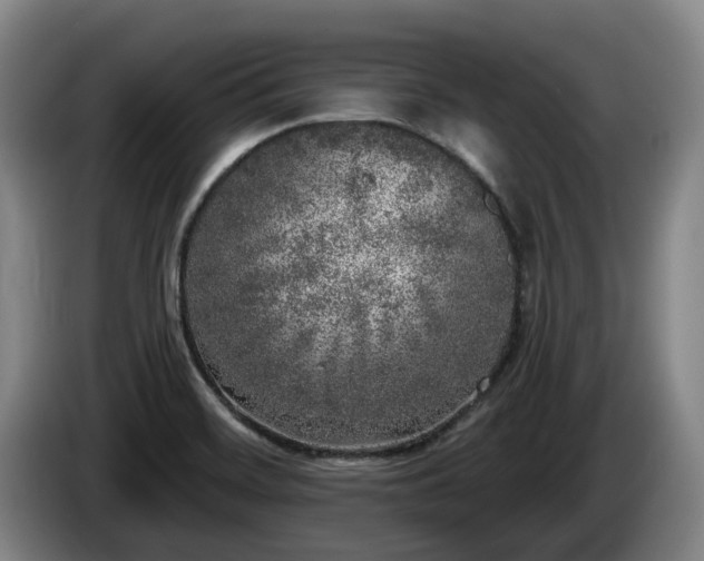 X0000085001468200703121450