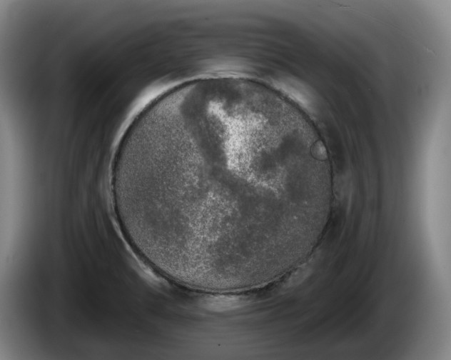 X0000085001470200703121450