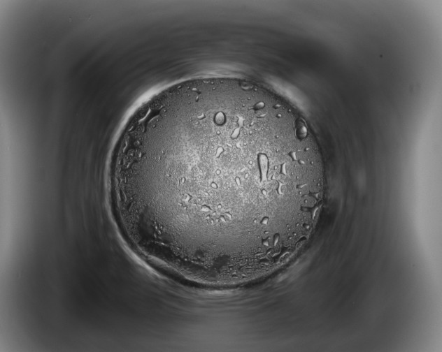 X0000085001471200703121450