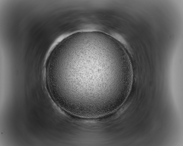 X0000085001472200703121450