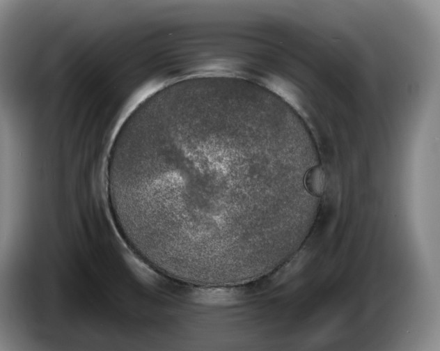 X0000085001474200703121450