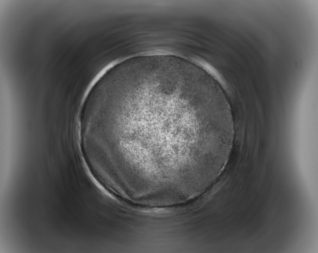 X0000085001476200703121450