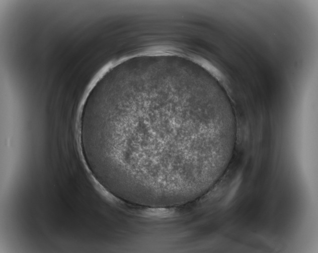 X0000085001478200703121450