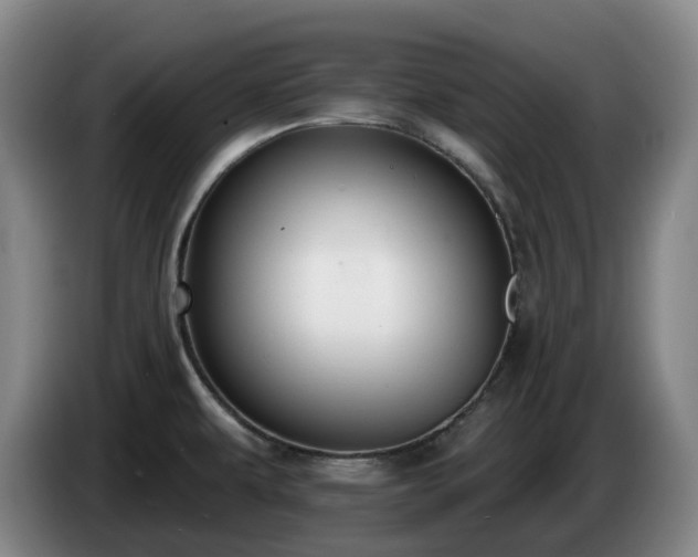 X0000085001479200703121450