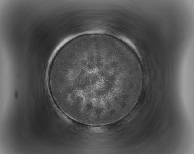 X0000085001480200703121450