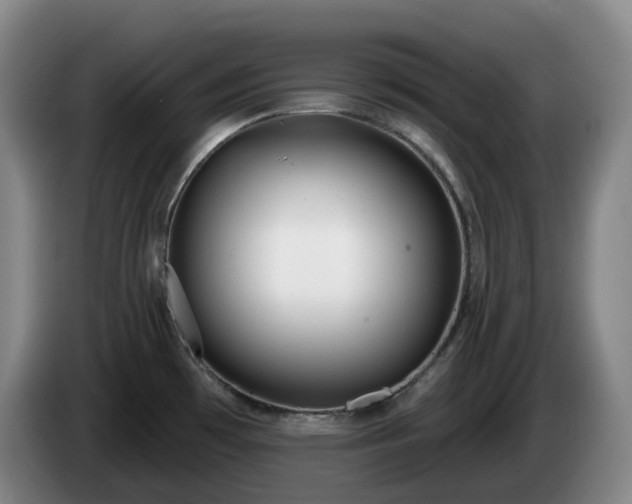 X0000085001481200703121450