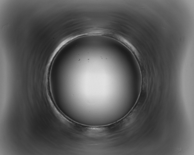 X0000085001483200703121450