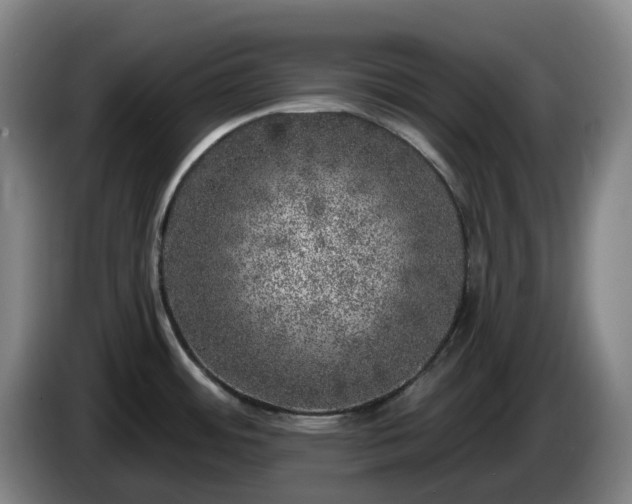 X0000085001484200703121450