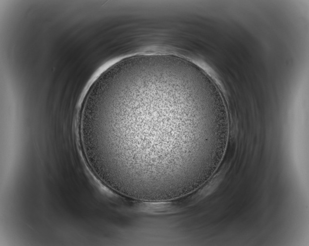 X0000085001486200703121449