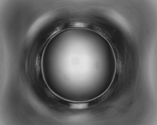 X0000085001487200703121449