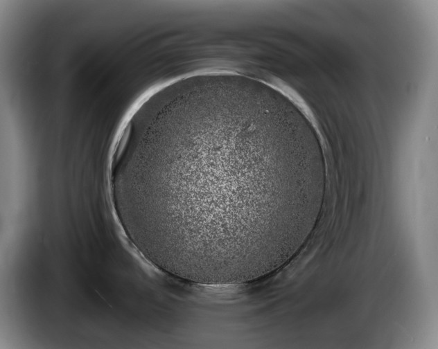 X0000085001488200703121449