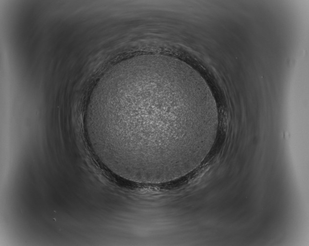 X0000085001489200703121449