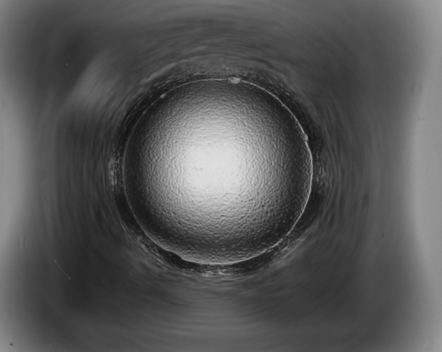 X0000085001490200703121449