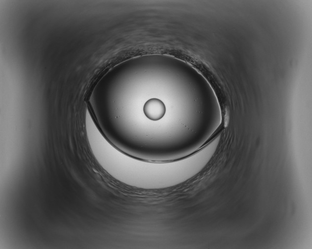 X0000085001492200703121449