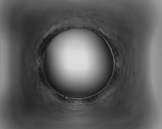 X0000085001495200703121449