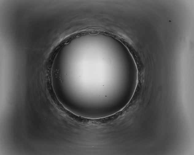 X0000085001496200703121449