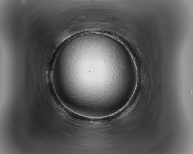 X0000085001497200703121449