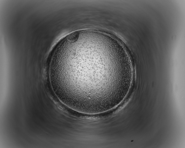 X0000085001501200703121449