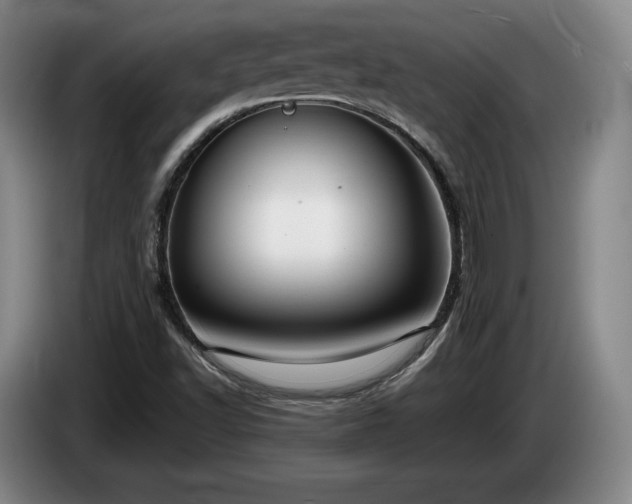 X0000085001502200703121449