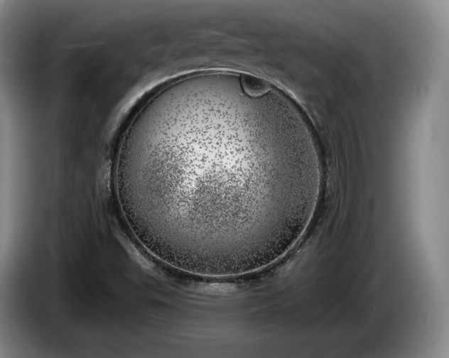 X0000085001503200703121449