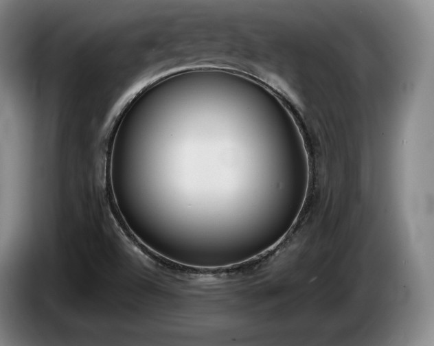 X0000085001504200703121449