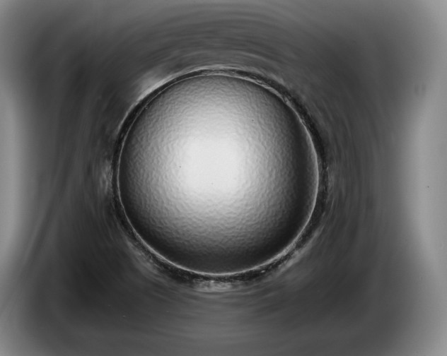 X0000085001505200703121449