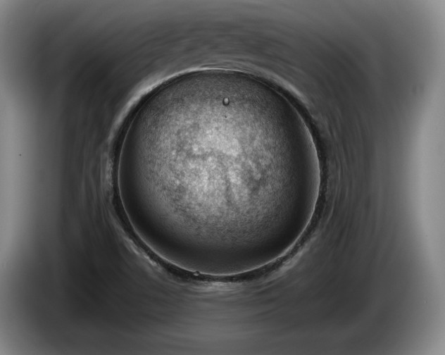 X0000085001506200703121449