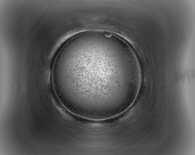 X0000085001507200703121449