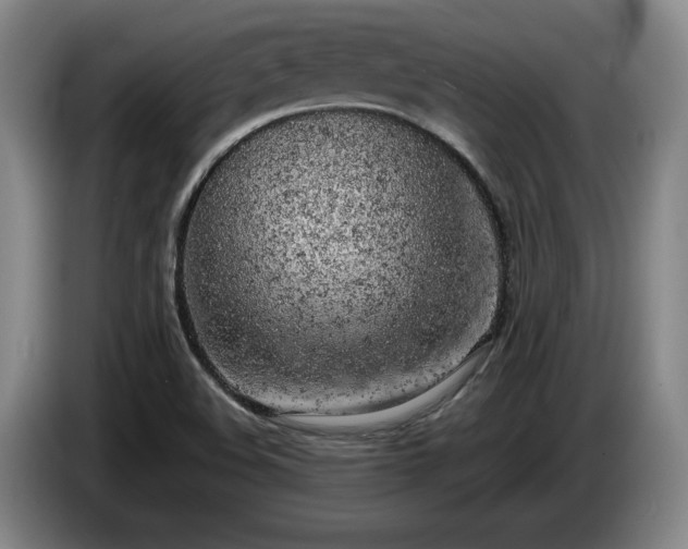 X0000085001508200703121449