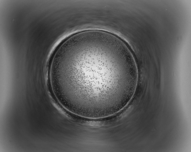 X0000085001511200703121449