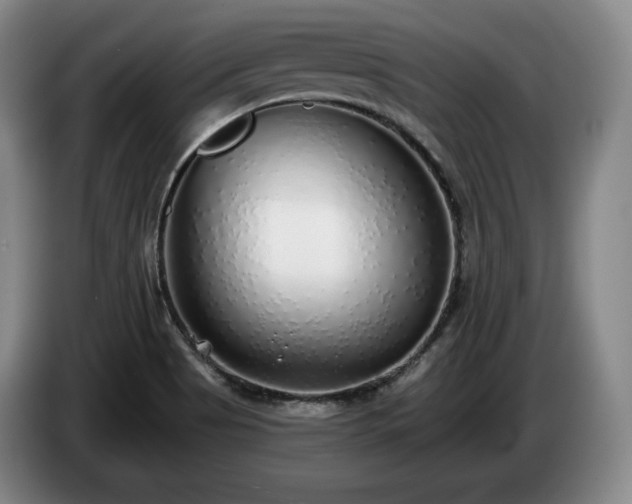 X0000085001513200703121449