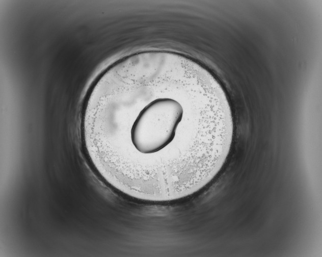 X0000085001514200703121449