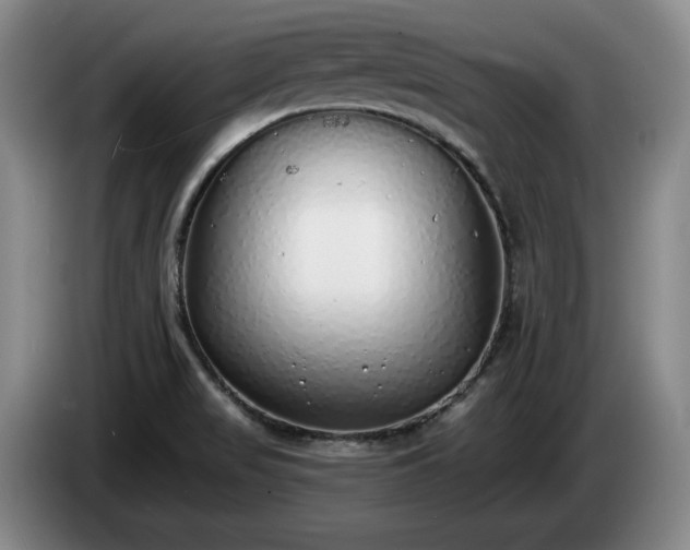 X0000085001517200703121449