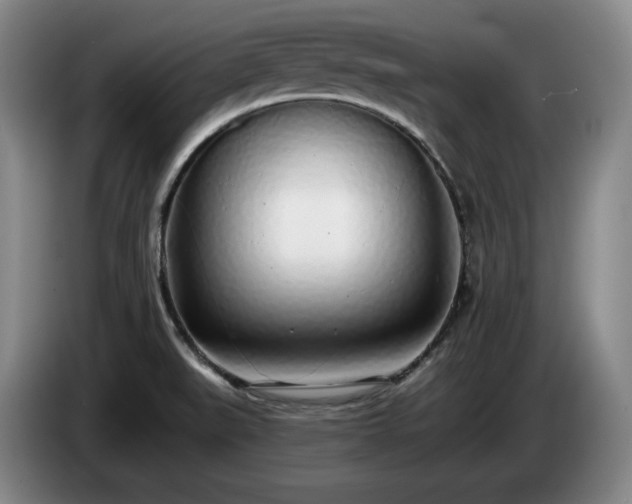 X0000085001519200703121449