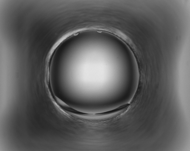 X0000085001520200703121449