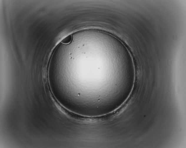 X0000085001521200703121449